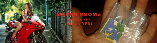 стаф Аркадак
