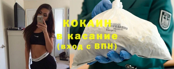 стаф Аркадак