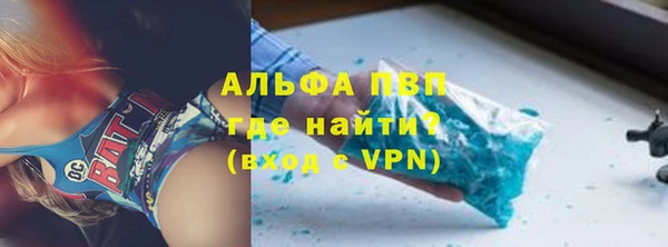 стаф Аркадак